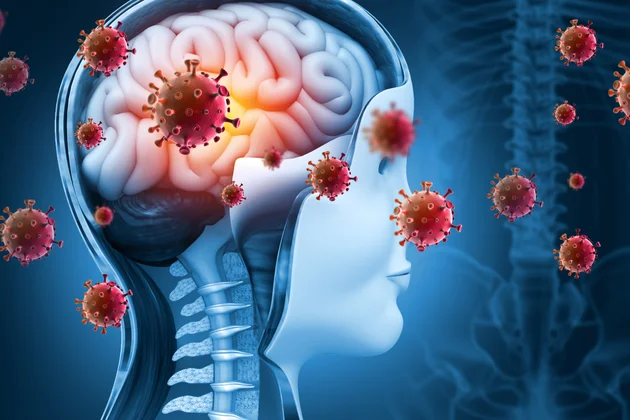 Meningitis je virusna, bakterijska ili gljivična infekcija sluzokože mozga i kičmene moždine, moždanih ovojnica. Saznajte više o uzrocima, simptomima i lečenju.